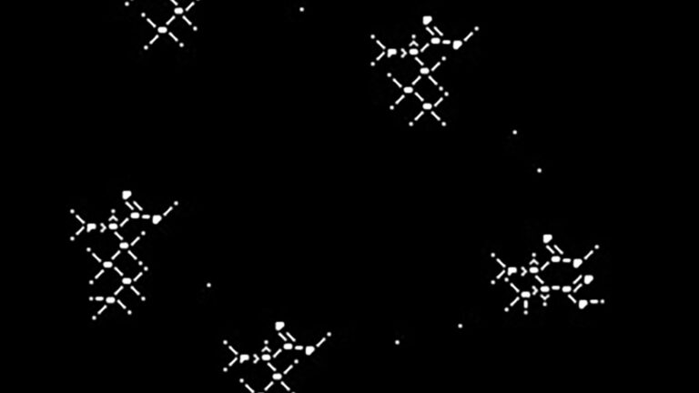 Microscopic photo of amino acids